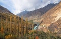 Golden Autumn Around Khalti Lake, Gupis City, Ghizer Valley, Northern Pakistan Royalty Free Stock Photo