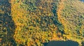 Golden Autumn Background, Aerial Drone View Of Forest With Yellow Trees And Beautiful Lake Landscape From Above, Kiev