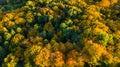 Golden autumn background, aerial drone view of forest with yellow trees and beautiful lake landscape from above, Kiev, Ukraine Royalty Free Stock Photo