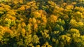 Golden autumn background, aerial drone view of forest with yellow trees and beautiful lake landscape from above, Kiev, Ukraine Royalty Free Stock Photo