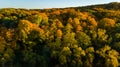 Golden autumn background, aerial drone view of forest with yellow trees and beautiful lake landscape from above, Kiev, Ukraine Royalty Free Stock Photo