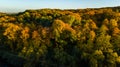 Golden autumn background, aerial drone view of forest with yellow trees and beautiful lake landscape from above, Kiev, Ukraine Royalty Free Stock Photo