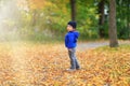 Golden autumn background with the fall leaves and little toddler Royalty Free Stock Photo