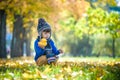 Golden autumn background with the fall leaves and little toddler Royalty Free Stock Photo