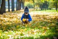 Golden autumn background with the fall leaves and little toddler boy playing in the autumnal foliage. Happy kid enjoying warm Royalty Free Stock Photo