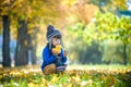 Golden autumn background with the fall leaves and little toddler boy playing in the autumnal foliage. Happy kid enjoying warm Royalty Free Stock Photo