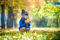 Golden autumn background with the fall leaves and little toddler boy playing in the autumnal foliage. Happy kid enjoying warm Royalty Free Stock Photo