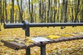 Golden autumn. Beautiful maple leaves on a bench