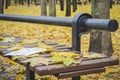 Golden autumn. Beautiful maple leaves on a bench