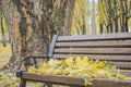 Golden autumn. Beautiful maple leaves on a bench