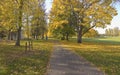 Golden Autumn in Blue lake park Oregon. Royalty Free Stock Photo