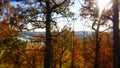 Golden Autumn with blur effect in Kernave, Lithuania 2