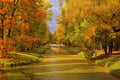 Golden autumn in Catherine park, Tsarskoye Selo Royalty Free Stock Photo