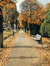 Golden autumn in the city Royalty Free Stock Photo