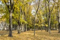 Golden autumn in a city park. Chernihiv Royalty Free Stock Photo