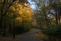 Golden autumn in the city park. Sunny October morning. Beautiful autumn landscape. A winding paved path. Royalty Free Stock Photo