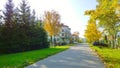 Golden autumn in the city street with yellow tree and spruce. Fall season. Real life. Countryside. Beauty in nature. Beautiful sea Royalty Free Stock Photo