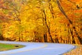 Golden autumn curve Royalty Free Stock Photo