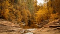 Golden Autumn Forest With Creek