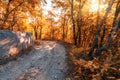 Fall colors. Golden Autumn forest road. Road through falling wood landscape on autumnal background Royalty Free Stock Photo