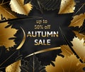 Golden autumn, Golden black autumn foliage vector sale banner.