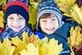 Golden Autumn, group of children lie on their backs in yellow leaves, Happy children in autumn park lying on leaves Royalty Free Stock Photo