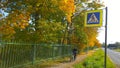 Golden autumn is here. People ride bicycle along colorful city street. Fallen orange leaves on path. Healthy lifestyle concept.