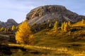 Golden autumn hills with larch trees on Falzarego Pass, Dolomites