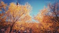 A golden autumn is illuminated in Brooklyn Heights, NYC - NEW YORK - FALL