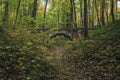 Grotesque bridge in Tsaritsyno Park. Moscow