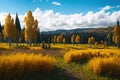 Golden autumn. Autumn landscape with a sprawling field with yellowed grass, trees with yellow leaves, a forest in the distance and