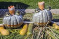 Golden autumn, large different pumpkins, Different varieties of pumpkins, a wooden cart with pumpkins