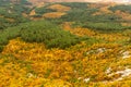 Golden autumn in mountain Crimean forest.