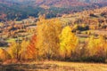 Golden autumn in the mountains, bright color landscape