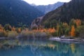 Golden autumn in mountains, Issyk lake surrounded by yellow forest in Almaty, Kazakhstan Royalty Free Stock Photo