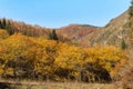 Golden autumn in the mountains of the Trans-Ili Alatau