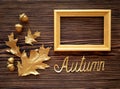 Golden autumn. Oak leaves and acorns on a wooden background. Text frame Royalty Free Stock Photo
