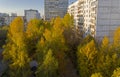 Golden autumn in a residential area of Moscow Royalty Free Stock Photo