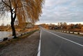 Golden autumn road weeping willow lake