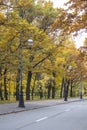 Golden autumn in Russia. bright yellow trees in the forest near the sidewalk with street lampposts by the road Royalty Free Stock Photo