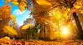 Golden autumn scene with falling leaves Royalty Free Stock Photo