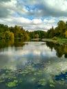 Golden autumn scene in a park, with falling leaves, the sun shining through the trees and blue sky Royalty Free Stock Photo