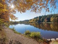 Golden autumn scenery at moor lake