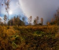 Golden autumn on the swamp. Karelian isthmus. Russia