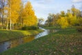 Landscape with a northern swamp in late autumn.