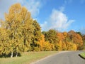 Golden autumn trees, Lithuania