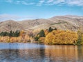 Golden autumn trees and mountains reflecting in the waters of the Wairepo Arm Lake on the South Island of New Zealand Royalty Free Stock Photo