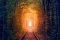 Golden Autumn Trees Tunnel with old railway - Tunnel of Love. Natural tunnel of love formed by trees Royalty Free Stock Photo