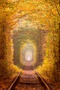 Autumn Trees Tunnel with old railway - Tunnel of Love. Natural tunnel of love formed by trees. Ukraine