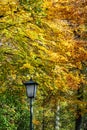 Golden autumn view in famous Munich relax place - Englischer Garten. Munich, Bavaria, Germany